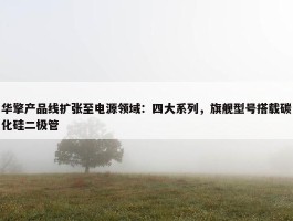 华擎产品线扩张至电源领域：四大系列，旗舰型号搭载碳化硅二极管