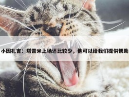 小因扎吉：塔雷米上场还比较少，他可以给我们提供帮助