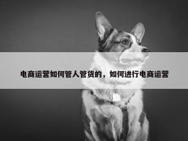 电商运营如何管人管货的，如何进行电商运营