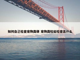 如何自己检查宠物粪便 宠物粪检能检查出什么