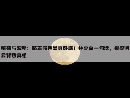 暗夜与黎明：路正阳揪出真卧底！林少白一句话，揭穿肖云背叛真相