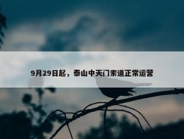 9月29日起，泰山中天门索道正常运营