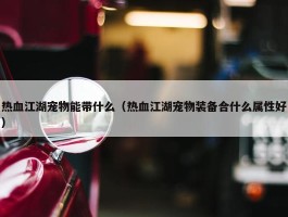 热血江湖宠物能带什么（热血江湖宠物装备合什么属性好）