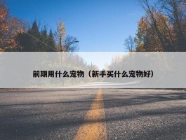 前期用什么宠物（新手买什么宠物好）