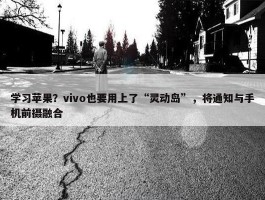 学习苹果？vivo也要用上了“灵动岛”，将通知与手机前摄融合