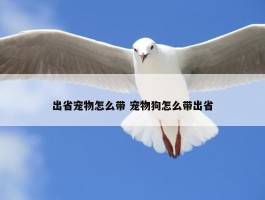 出省宠物怎么带 宠物狗怎么带出省