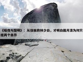 《暗夜与黎明》：从徐巍救林少白，才明白戴月清为何只提两个条件