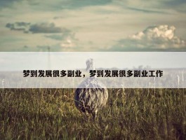 梦到发展很多副业，梦到发展很多副业工作