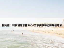 图片报：利物浦愿意花5000万欧买多特边锋阿德耶米