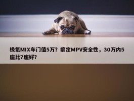 极氪MIX车门值5万？搞定MPV安全性，30万内5座比7座好？