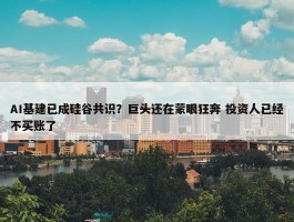 AI基建已成硅谷共识？巨头还在蒙眼狂奔 投资人已经不买账了