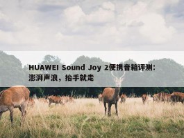 HUAWEI Sound Joy 2便携音箱评测：澎湃声浪，抬手就走