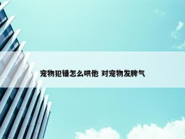 宠物犯错怎么哄他 对宠物发脾气