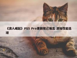 《浪人崛起》PS5 Pro更新现已推出 添加性能选项