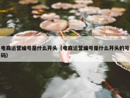 电商运营编号是什么开头（电商运营编号是什么开头的号码）