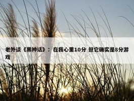 老外谈《黑神话》：在我心里10分 但它确实是8分游戏