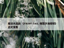 魔法大混战 《FAIRY TAIL 爆裂沙滩排球》正式发售