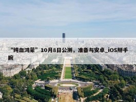 “纯血鸿蒙”10月8日公测，准备与安卓_iOS掰手腕