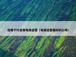 在哪个行业做电商运营（电商运营最好的公司）