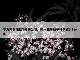 华为鸿蒙NEXT即将公测：同一应用最多可创建5个分身