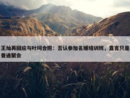 王灿再回应与叶珂合照：否认参加名媛培训班，直言只是普通聚会