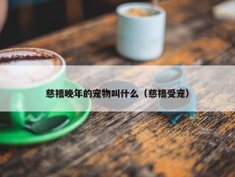 慈禧晚年的宠物叫什么（慈禧受宠）