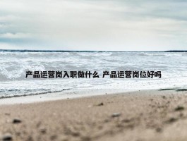 产品运营岗入职做什么 产品运营岗位好吗