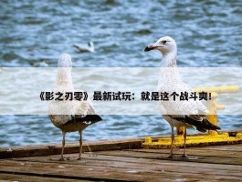 《影之刃零》最新试玩：就是这个战斗爽！