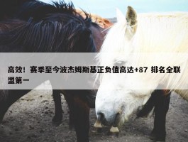 高效！赛季至今波杰姆斯基正负值高达+87 排名全联盟第一