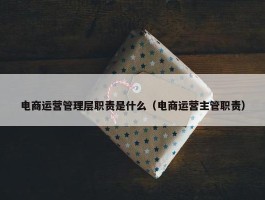 电商运营管理层职责是什么（电商运营主管职责）