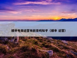 顺丰电商运营有前景吗知乎（顺丰 运营）