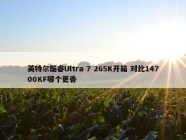 英特尔酷睿Ultra 7 265K开箱 对比14700KF哪个更香