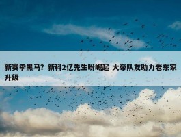 新赛季黑马？新科2亿先生盼崛起 大帝队友助力老东家升级