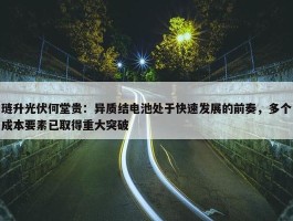 琏升光伏何堂贵：异质结电池处于快速发展的前奏，多个成本要素已取得重大突破