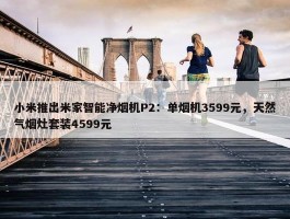 小米推出米家智能净烟机P2：单烟机3599元，天然气烟灶套装4599元