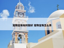 宠物宝珠如何做好 宠物宝珠怎么弄