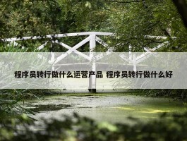 程序员转行做什么运营产品 程序员转行做什么好