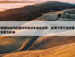 西雅特反对欧盟对华电动车加征关税：欧洲汽车行业将遭受重大影响