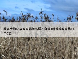 摩米士的65W充电器怎么样？自带1根伸缩充电线+1个C口