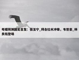 粤媒预测国足首发：张玉宁_拜合拉木冲锋，韦世豪_林良铭登场