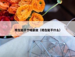 现在能干个啥副业（现在能干什么）