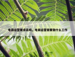 电商运营要求高吗，电商运营需要做什么工作