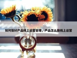 如何做好产品线上运营管理，产品怎么做线上运营