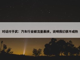 对话付于武：汽车行业被流量裹挟，说明我们很不成熟