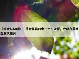 《暗夜与黎明》：从金昴昌口中一个不能留，才明白最终想取代伯劳