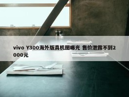 vivo Y300海外版真机图曝光 售价泄露不到2000元