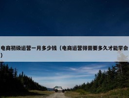 电商初级运营一月多少钱（电商运营得需要多久才能学会）