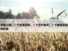 新疆三美：一个无戏可拍，一个忍气吞声，一个被骂滚出娱乐圈