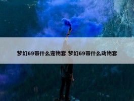 梦幻69带什么宠物套 梦幻69带什么动物套