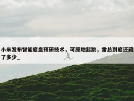 小米发布智能底盘预研技术，可原地起跳，雷总到底还藏了多少_